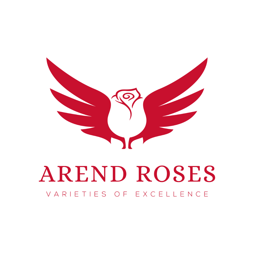 ArendRoses-Logo